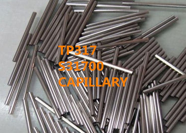 TP317 / S31700 Special Alloys Capillary 0.25 - 8.0mm OD For Horological Industry